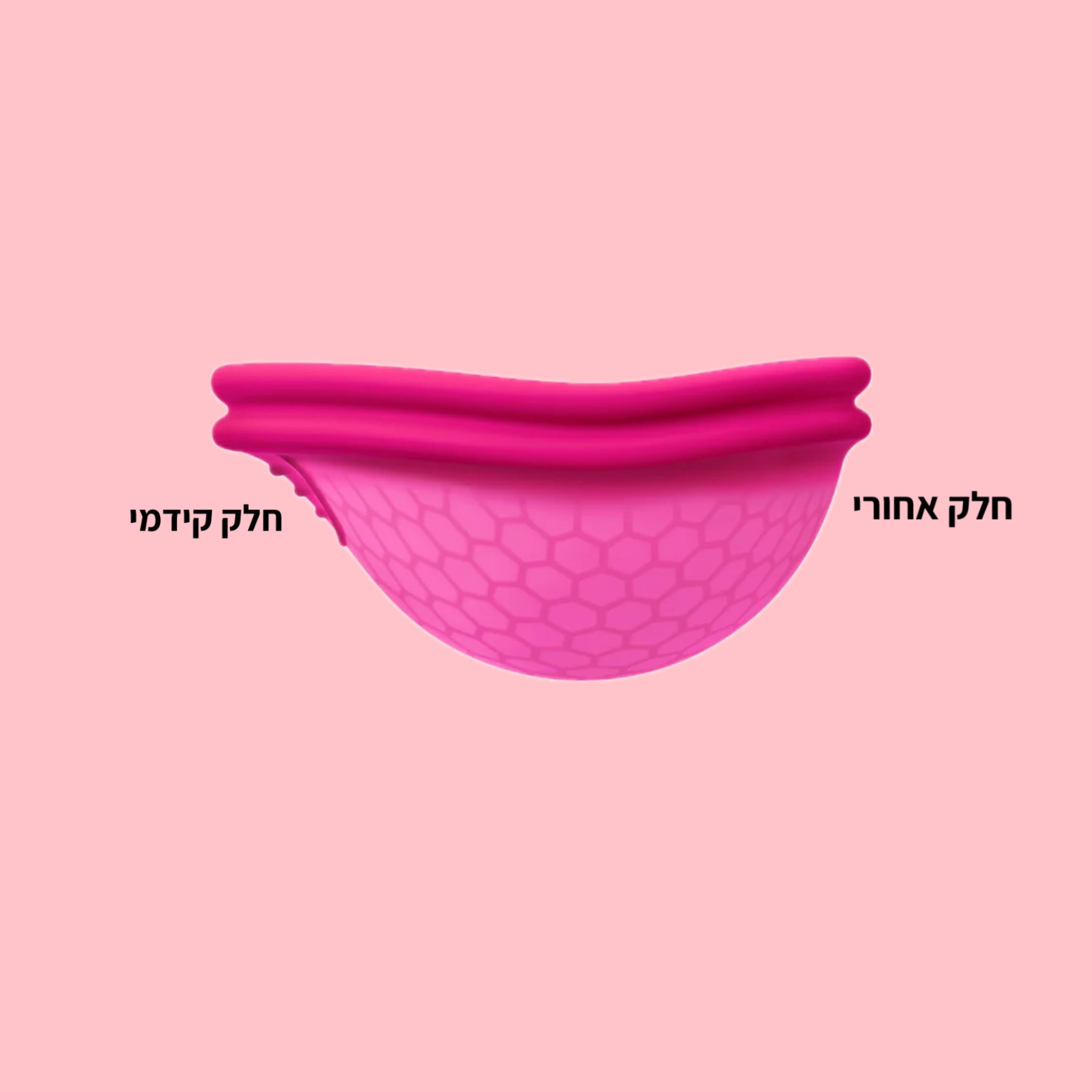 דיסק מחזור זיגי