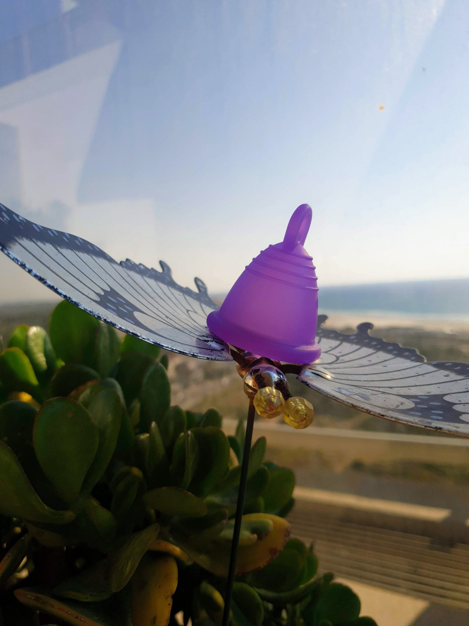 Our Meluna period cup will change the way you feel about your period forever. This menstrual cup is made from reusable soft silicone, the perfect eco-choice for sister's who want a safe, healthy, non toxic, latex free, BPA free גביעונית מילונה לצוואר רחם נמוך
